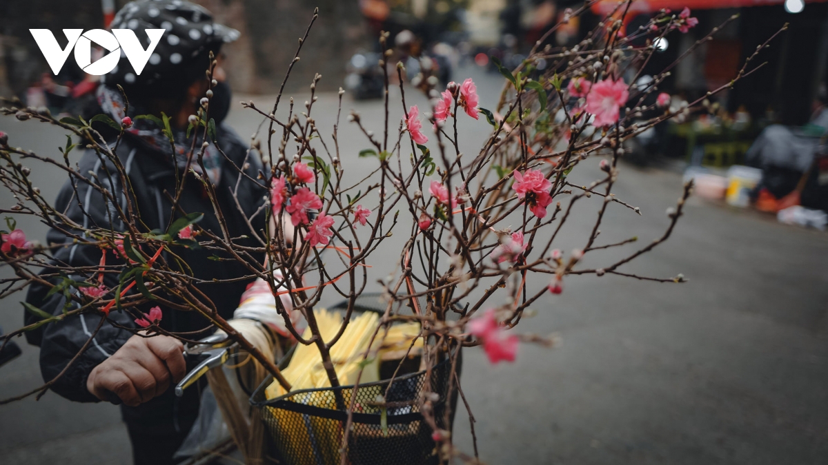 Hanoi capital appears peaceful in build up to Tet